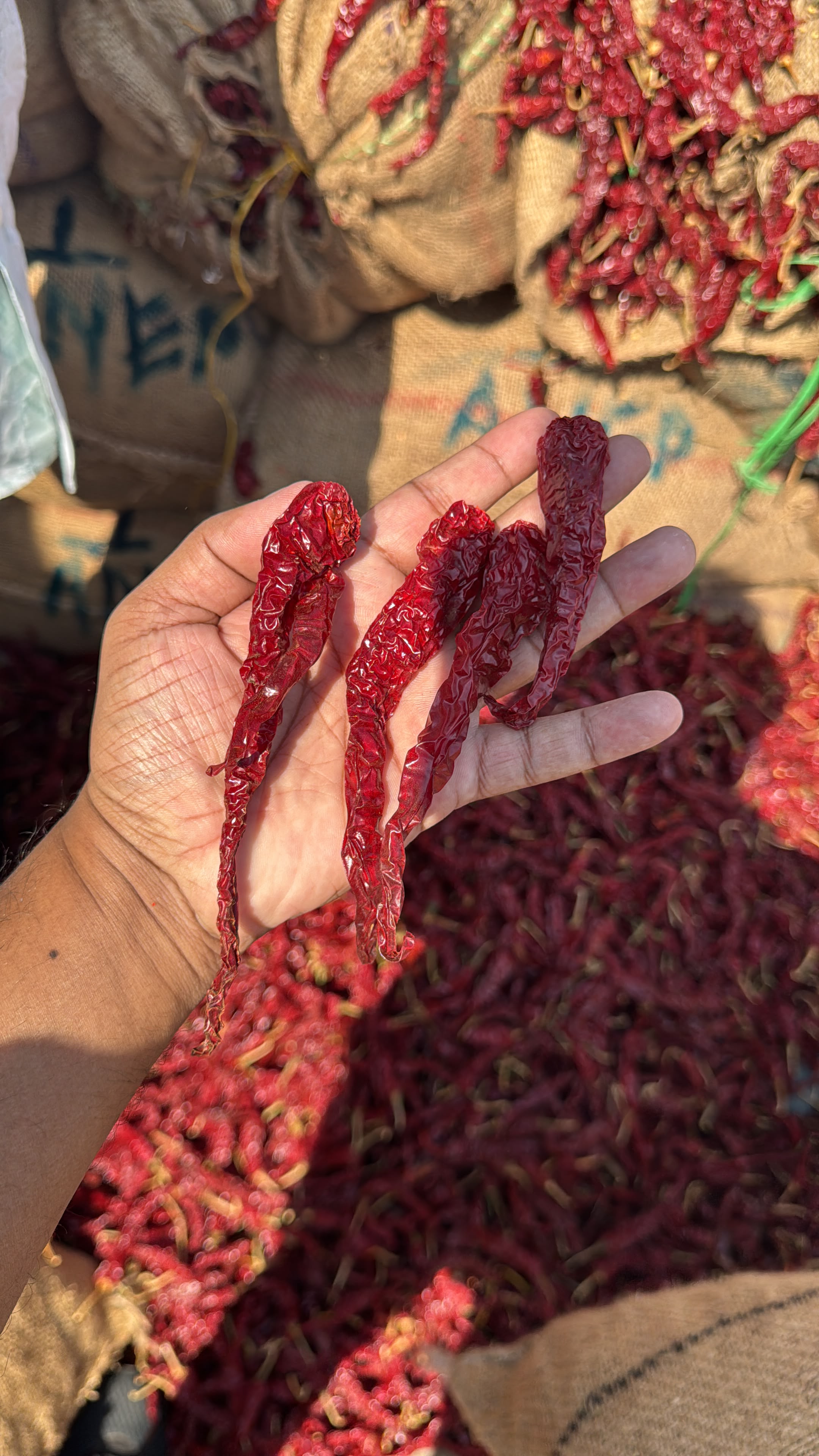 Dried chillies inspection at market